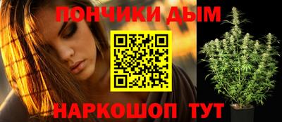 jwh Кингисепп
